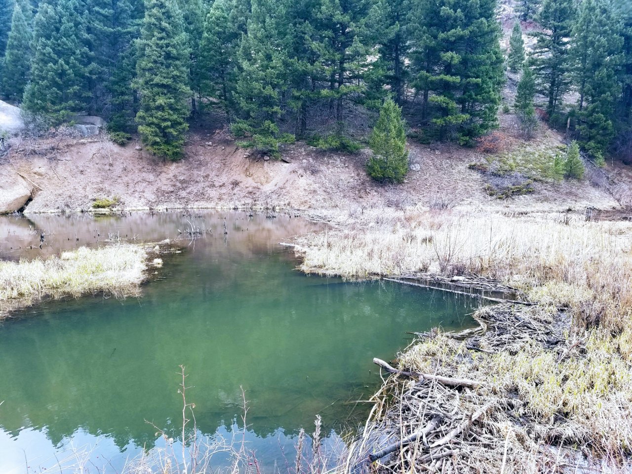 20180429_164008-EFFECTS.jpg