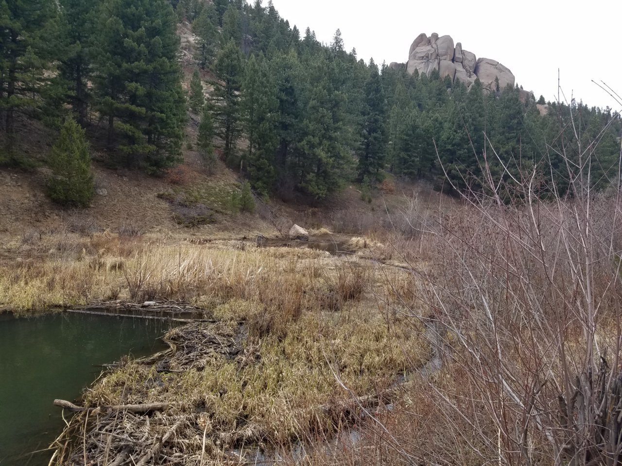 20180429_164013.jpg