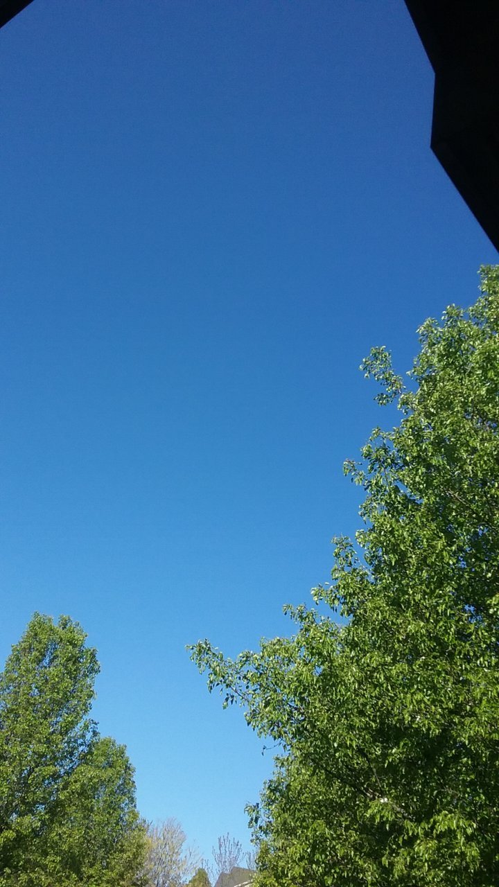 20180430_093946.jpg