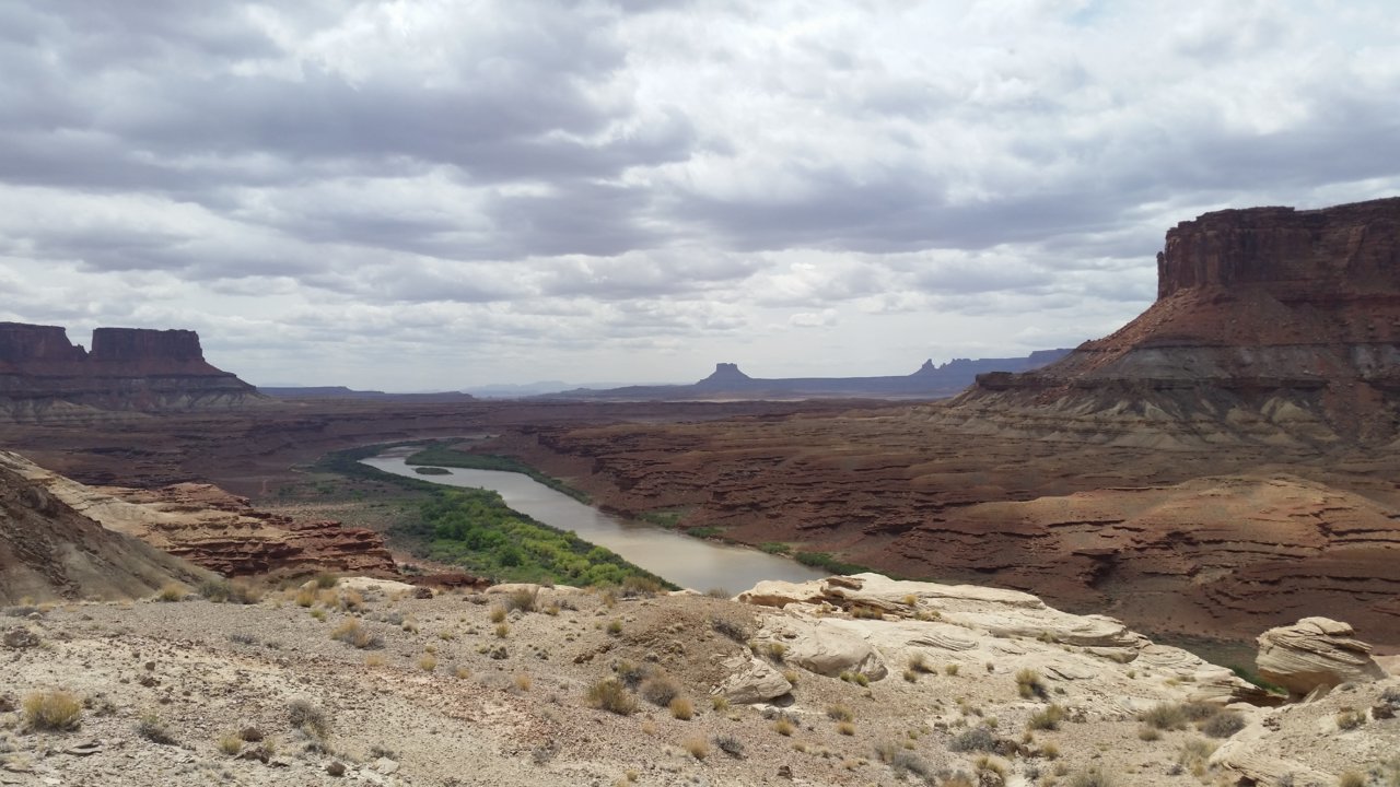20180430_121538.jpg