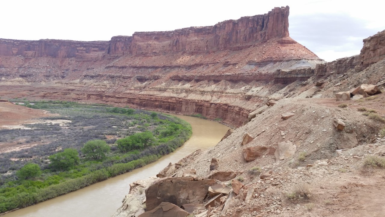 20180430_123241.jpg