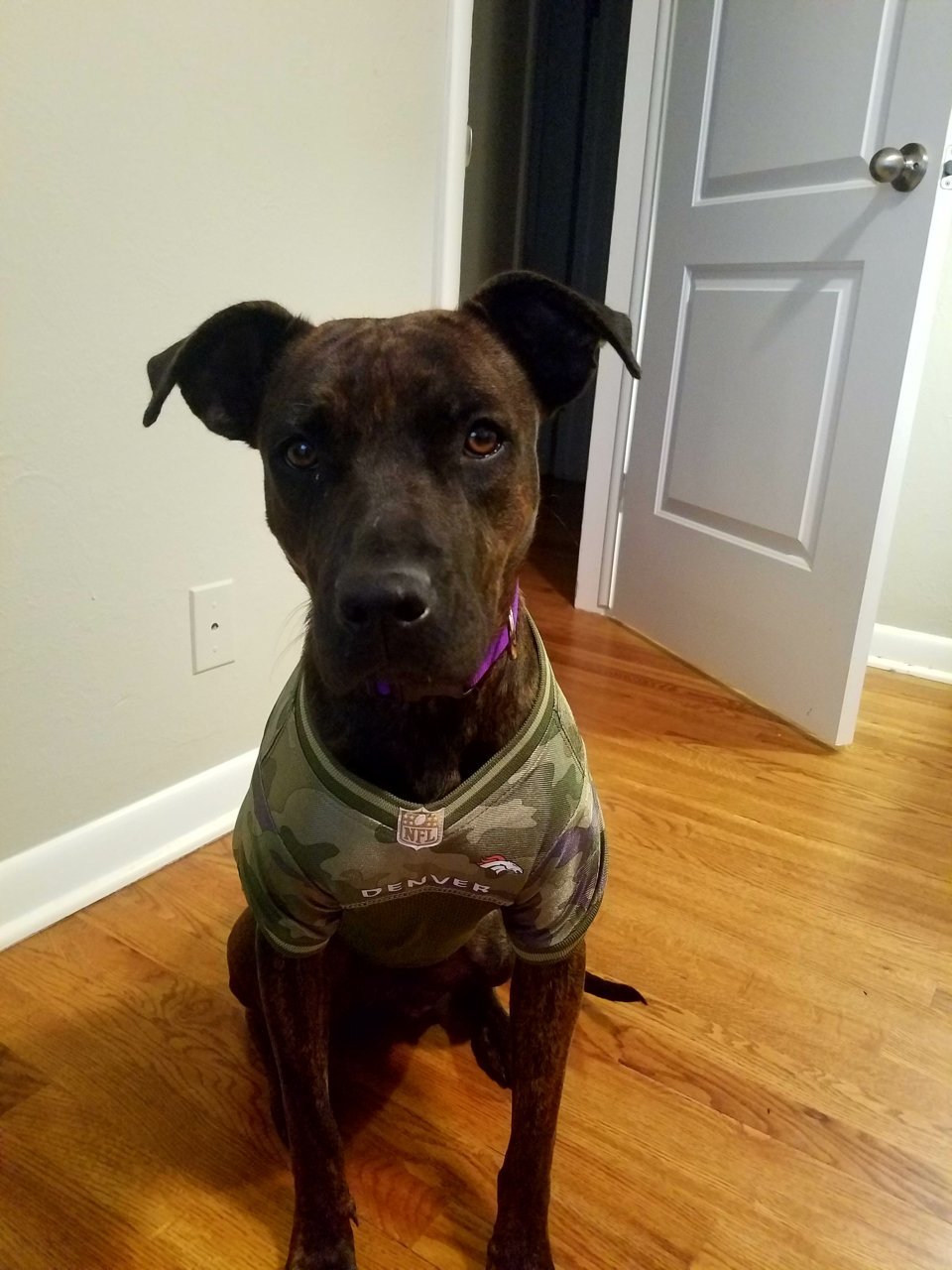20180430_214017.jpg