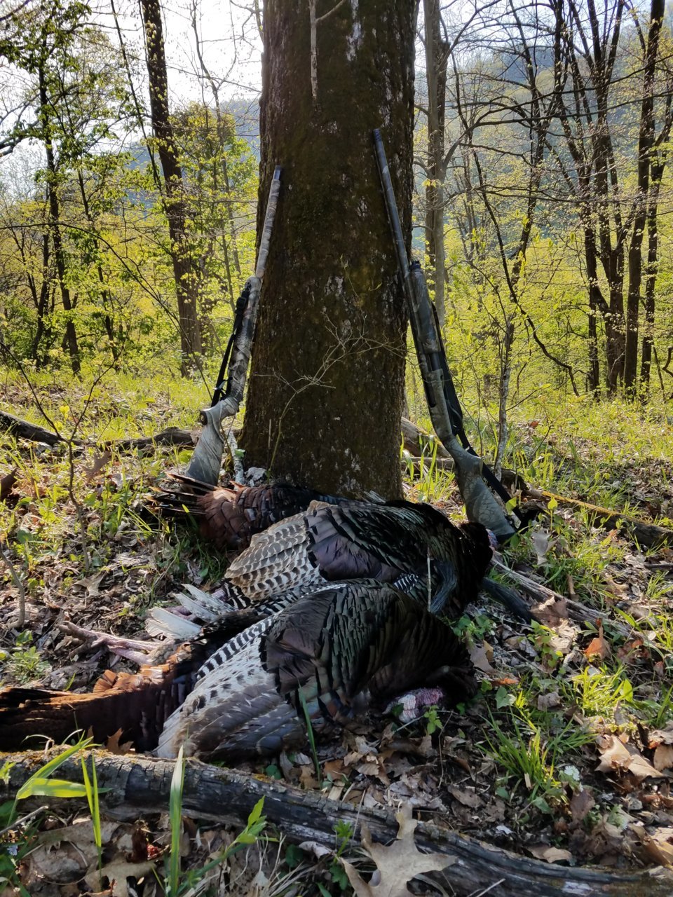 20180502_081852.jpg