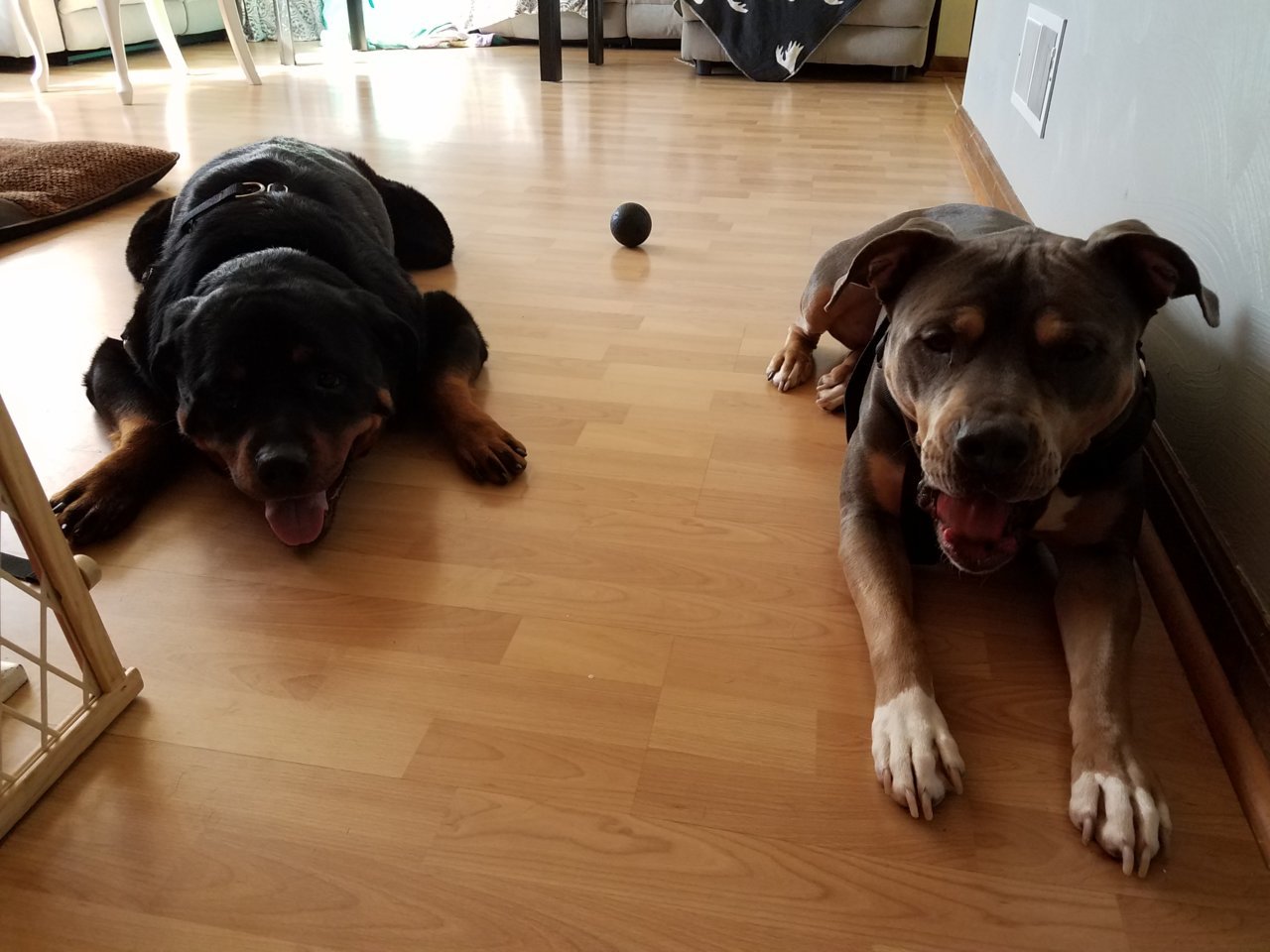 20180502_093640.jpg