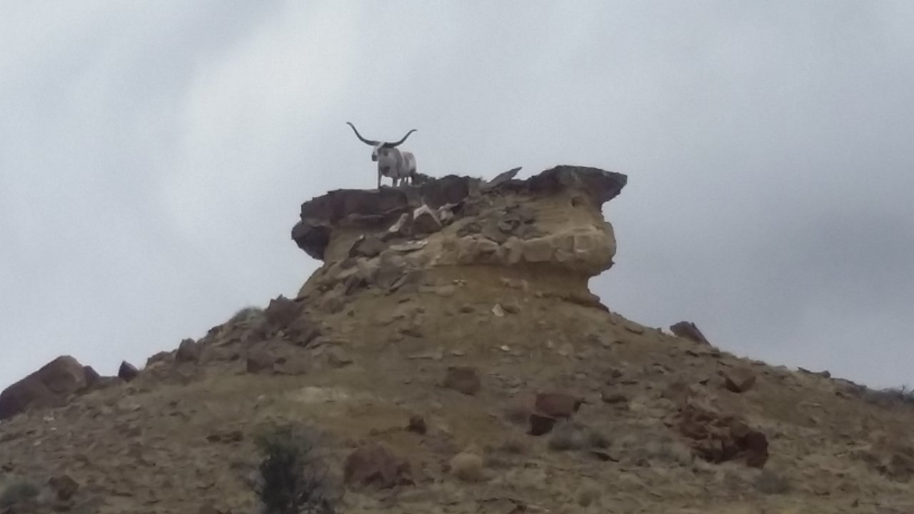 20180502_112725.jpg