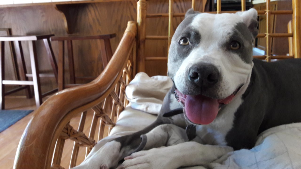 20180502_120038.jpg