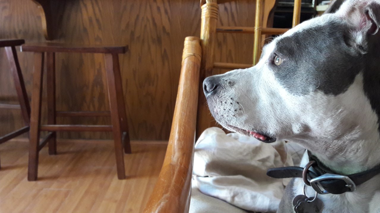 20180502_121323.jpg