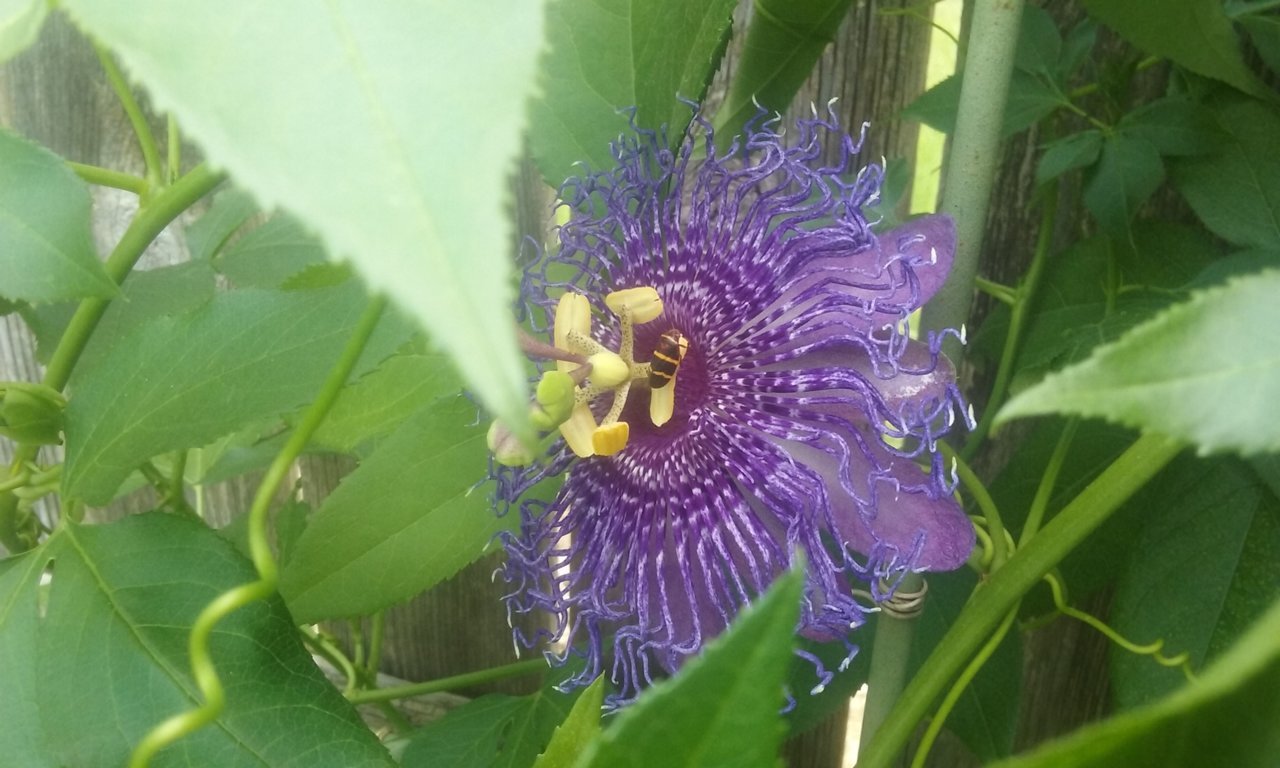 20180502_121747.jpg