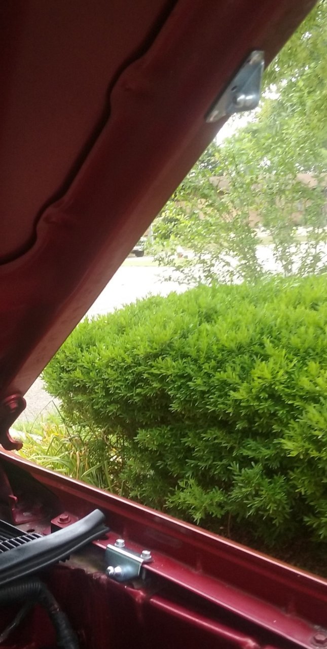20180502_154650.jpg