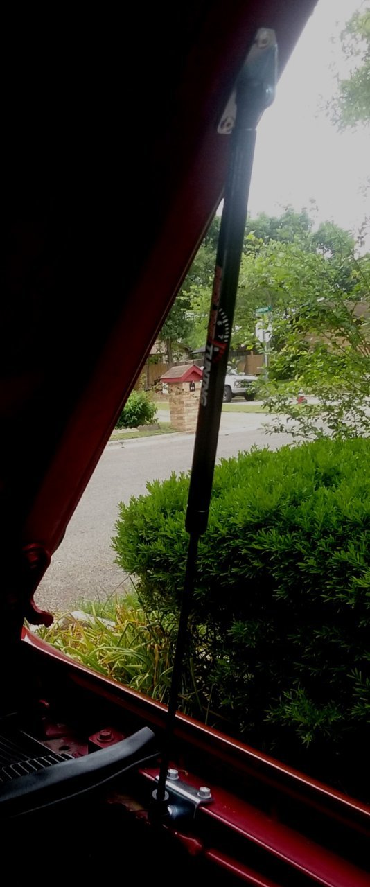 20180502_155417.jpg