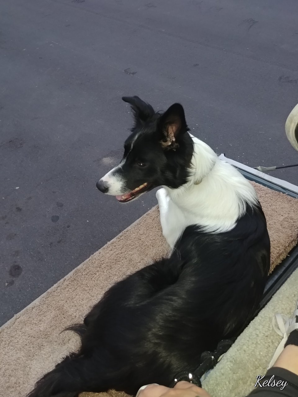 20180502_192129.jpg