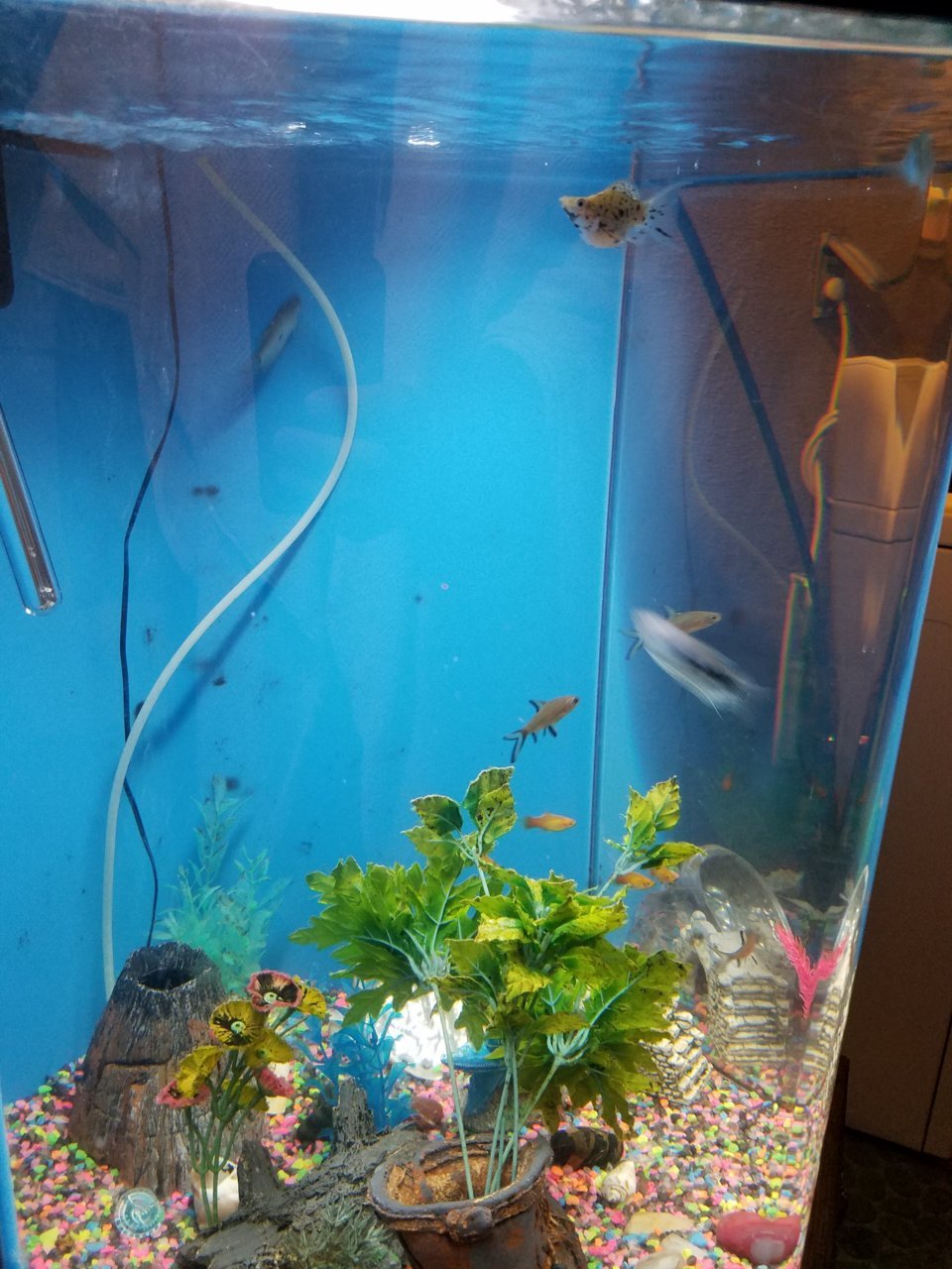 20180502_210228.jpg