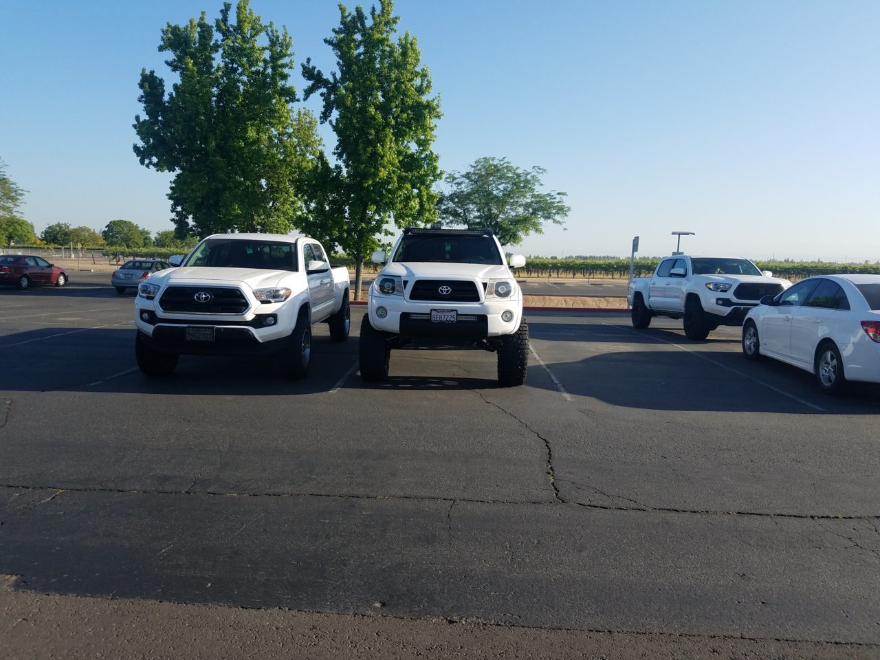 20180503_074208.jpg