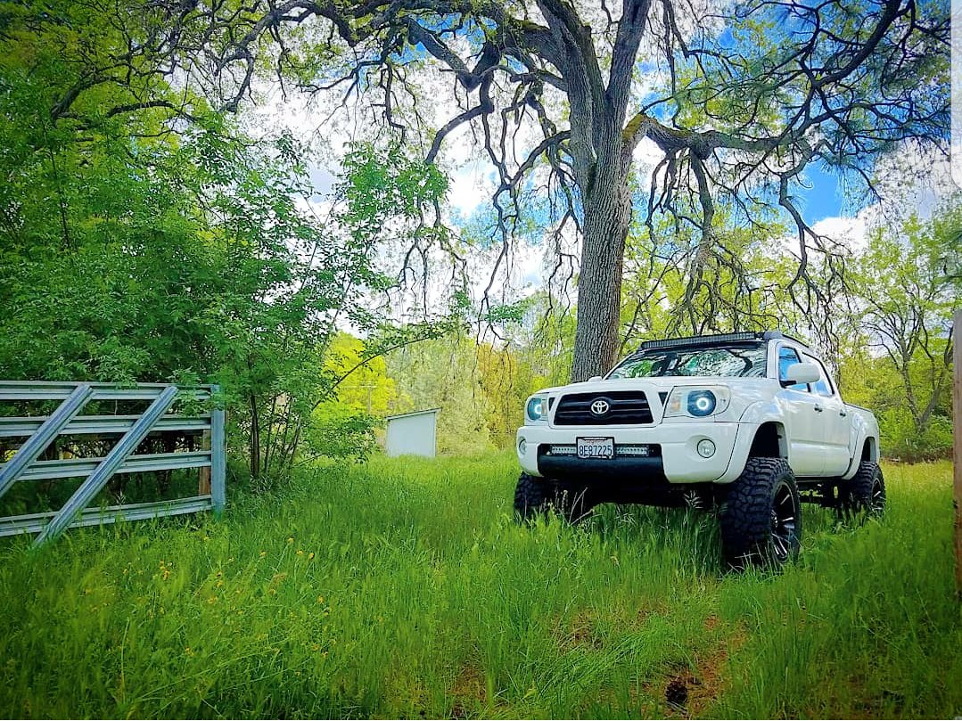 20180503_110212.jpg
