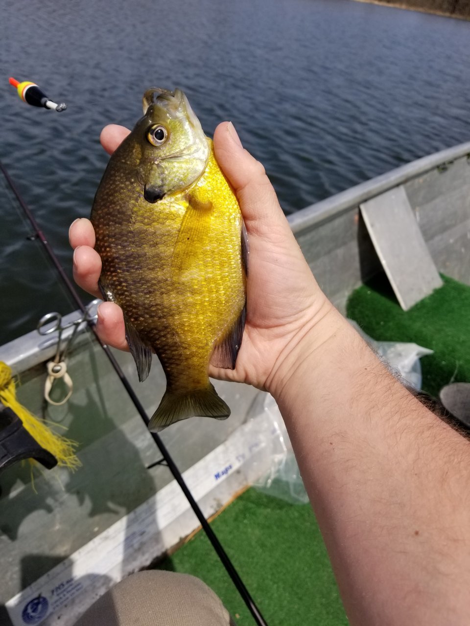 20180503_122733.jpg