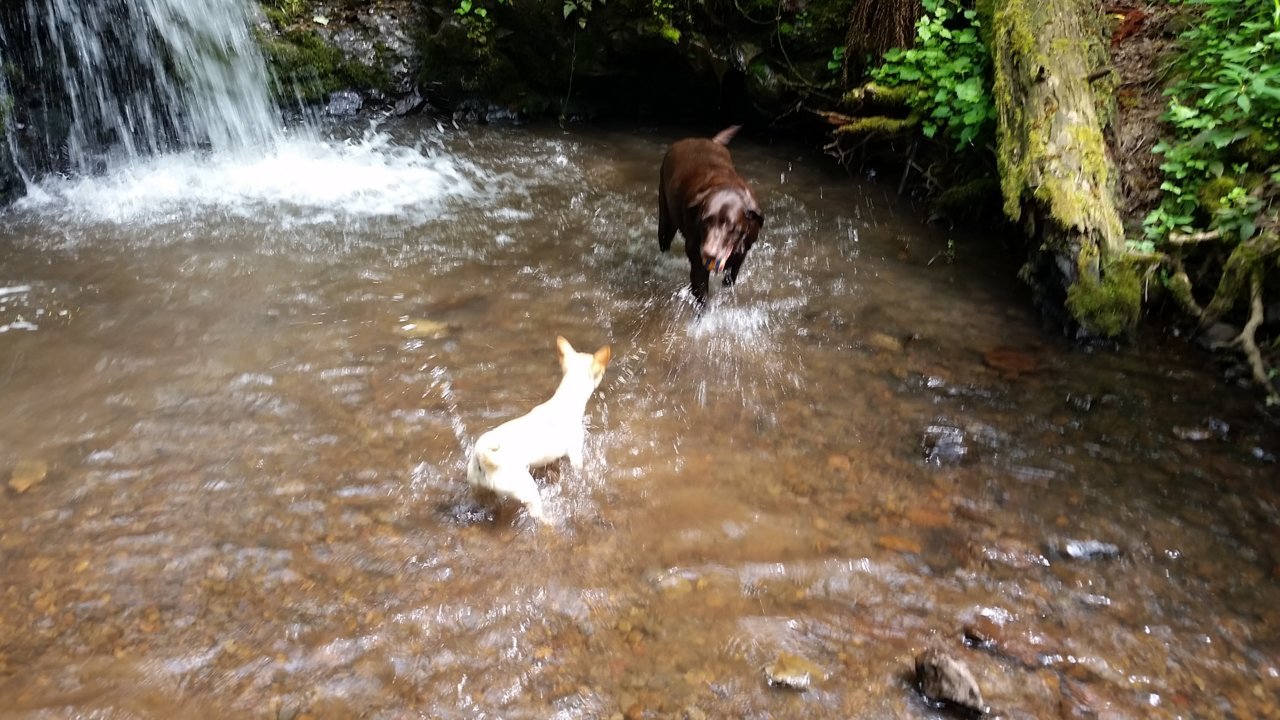 20180503_124718.jpg