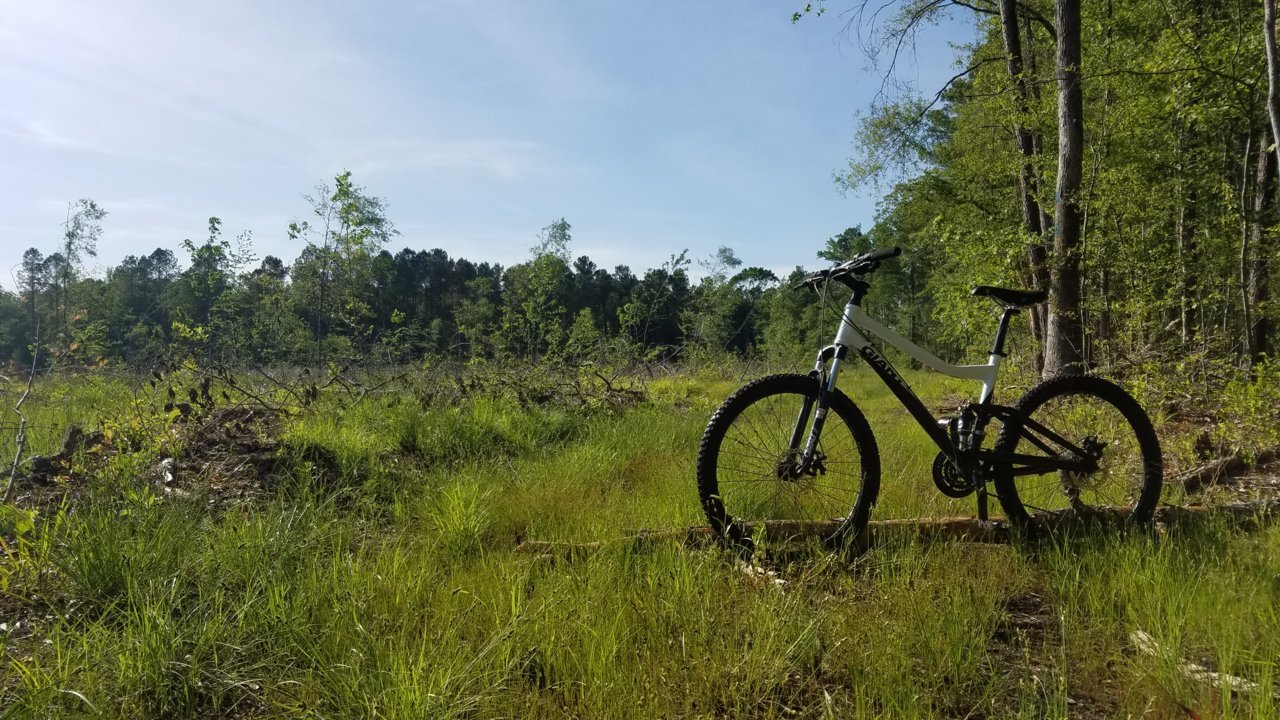 20180503_171926.jpg