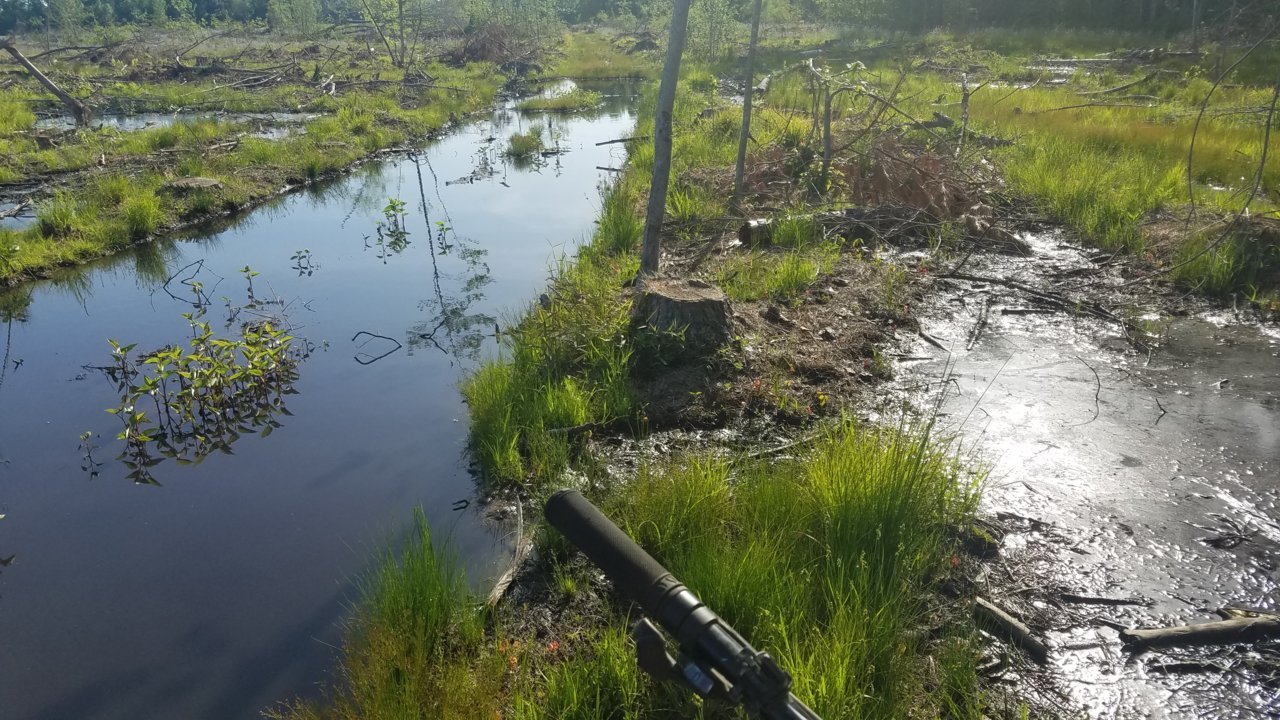 20180503_172450.jpg