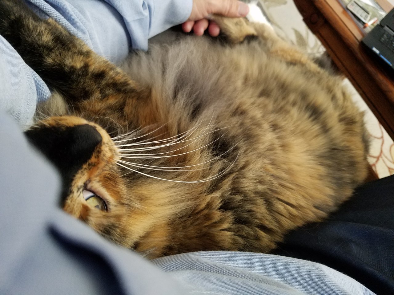 20180504_131219.jpg