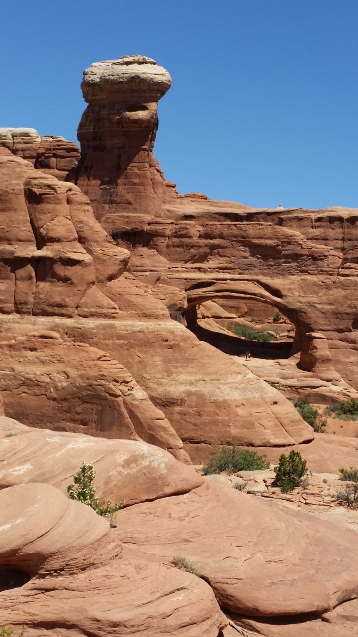 20180504_132453.jpg