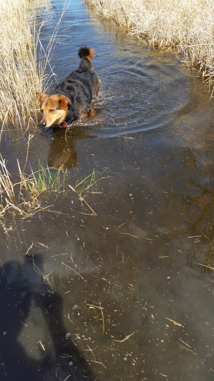 20180504_151738.jpg