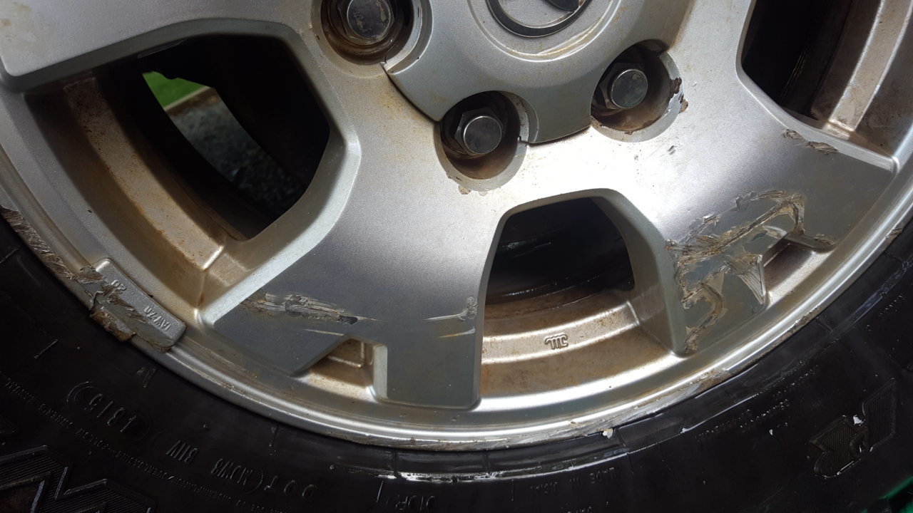 20180504_183152.jpg