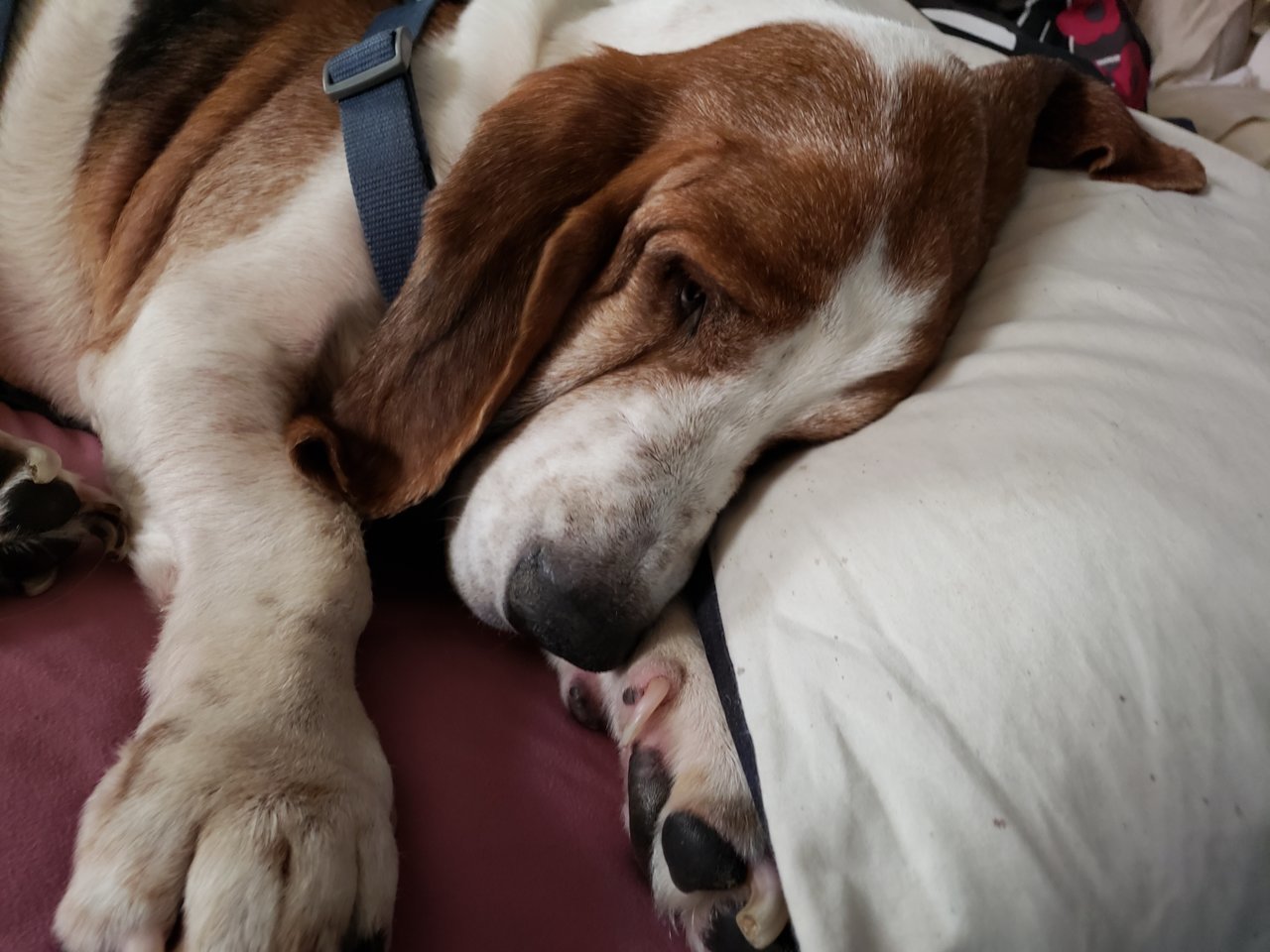 20180505_094457.jpg