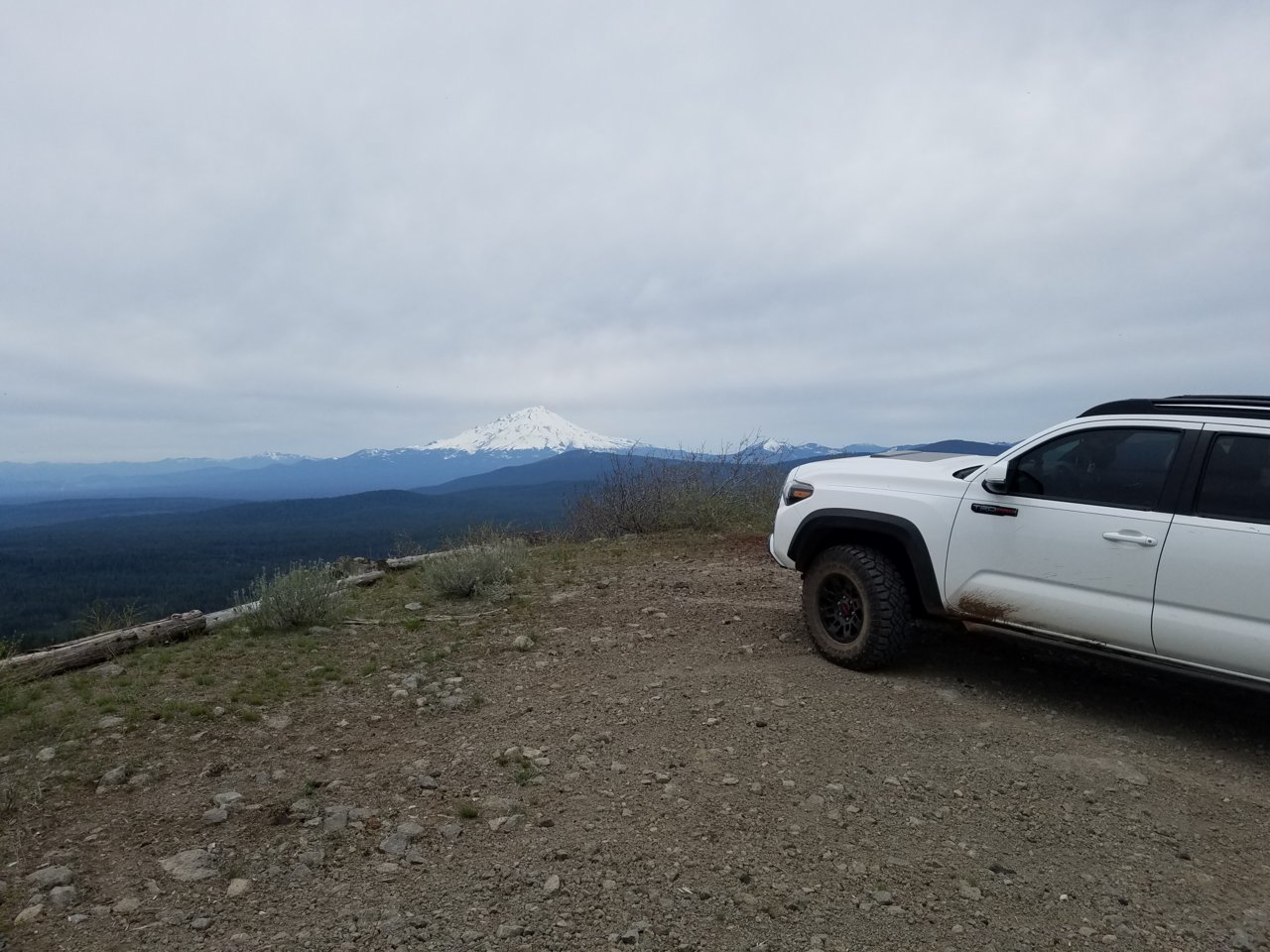 20180505_120115.jpg