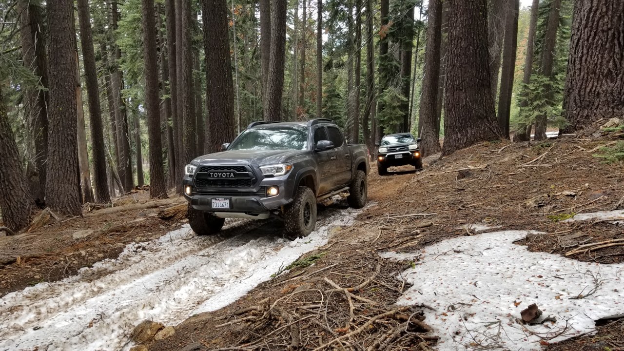 20180505_122519.jpg