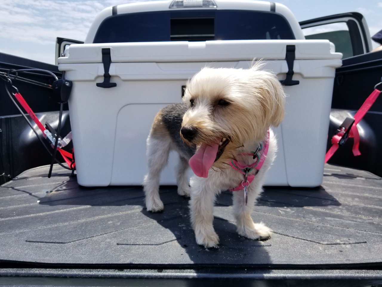 20180505_123301.jpg