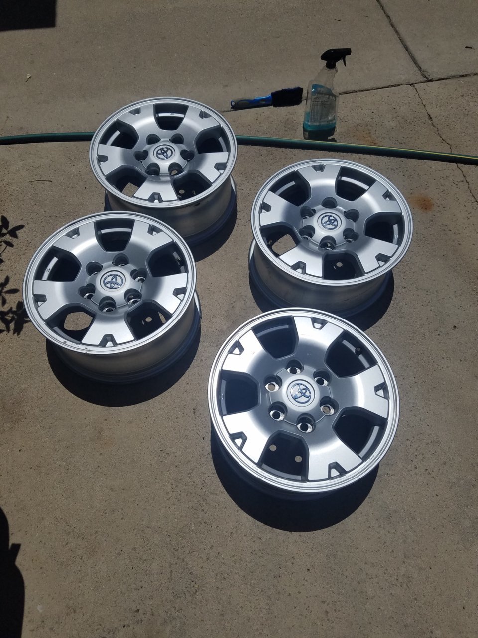 20180505_124637.jpg