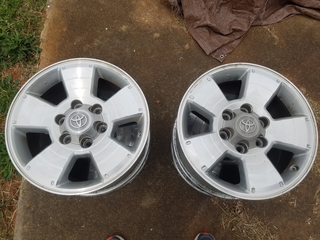 20180505_135821.jpg