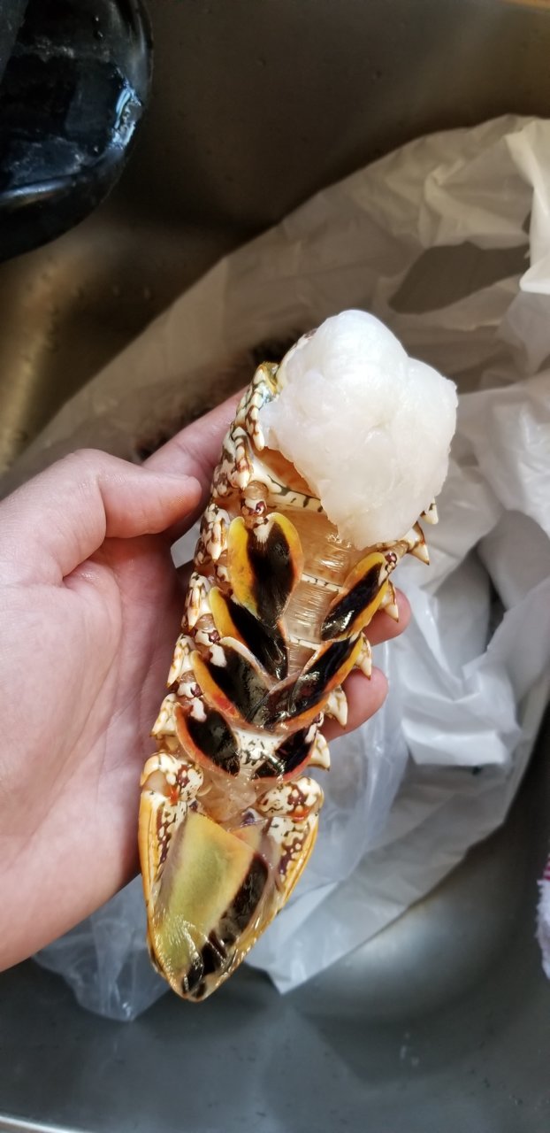 20180505_163247.jpg