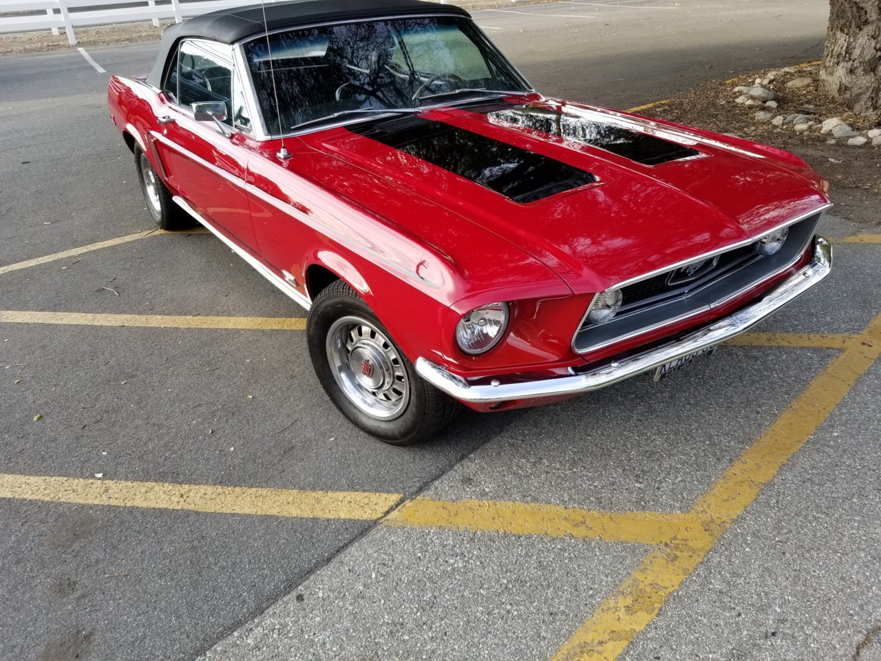 20180506_065333.jpg