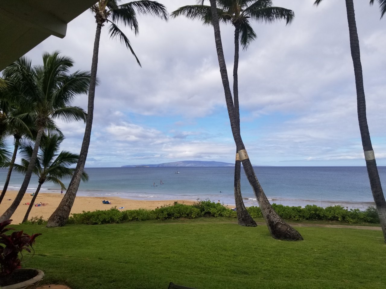 20180506_085000.jpg