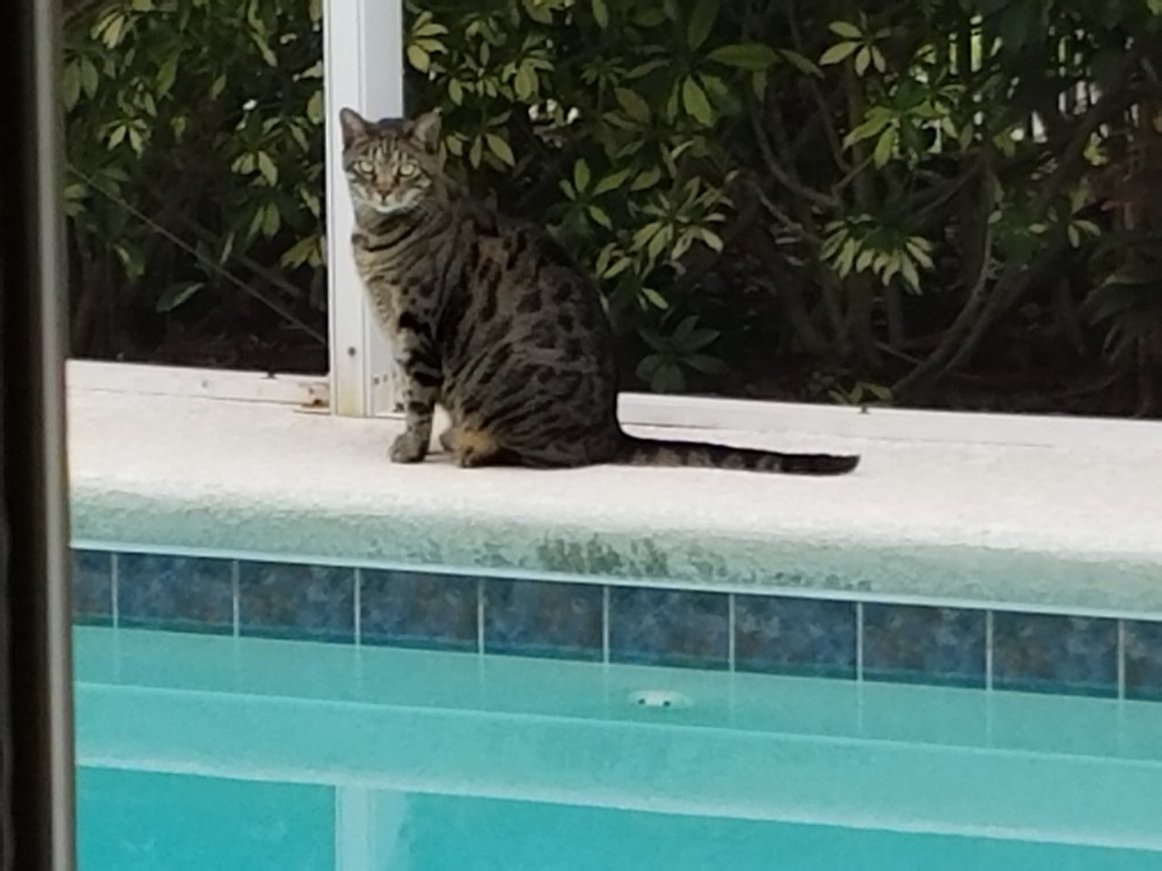 20180506_093709.jpg