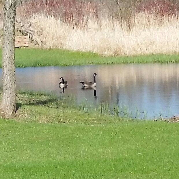 20180506_094120-1.jpg