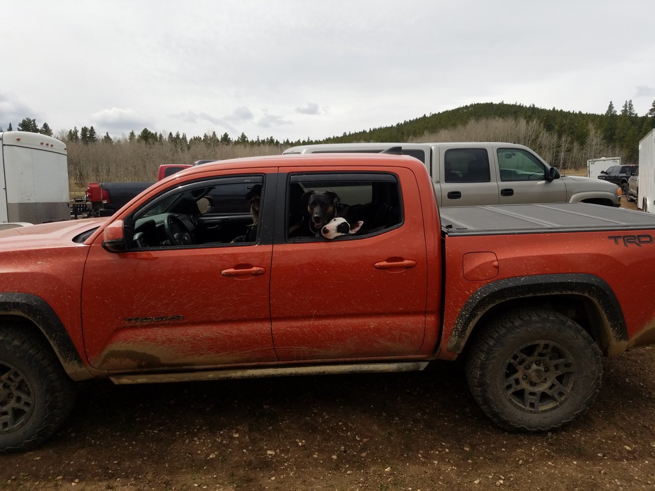 20180506_114052.jpg