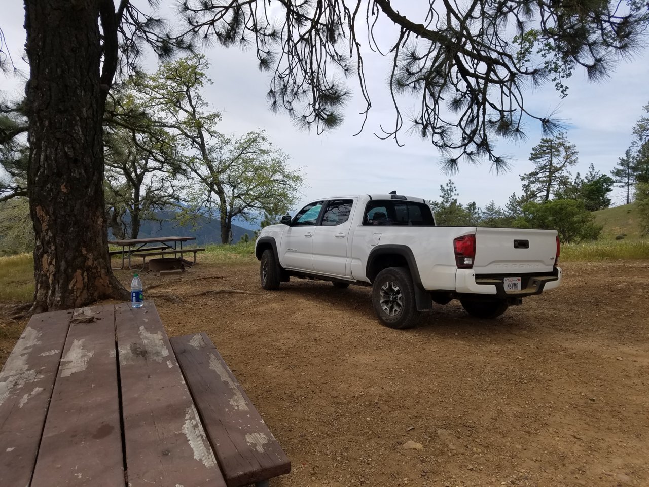 20180506_122023.jpg