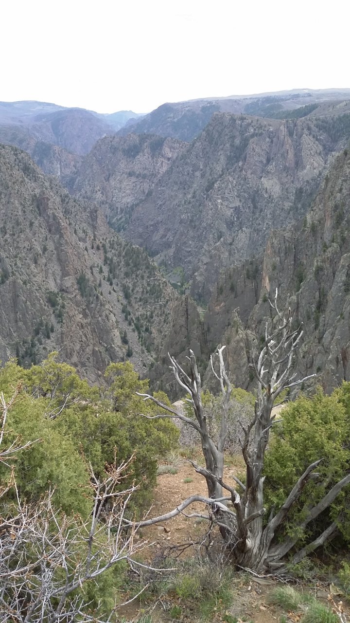 20180506_123120.jpg