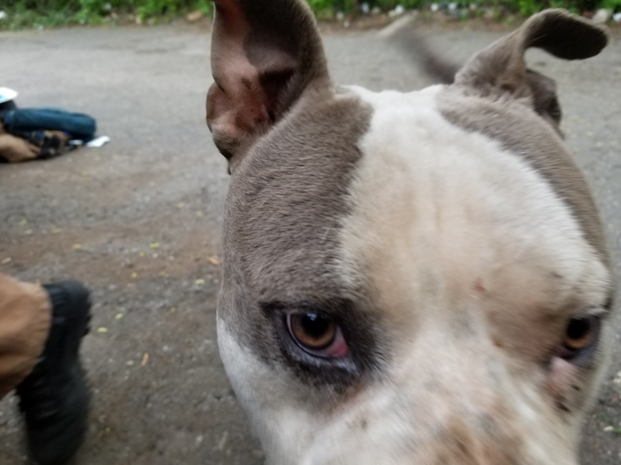 20180506_123338.jpg