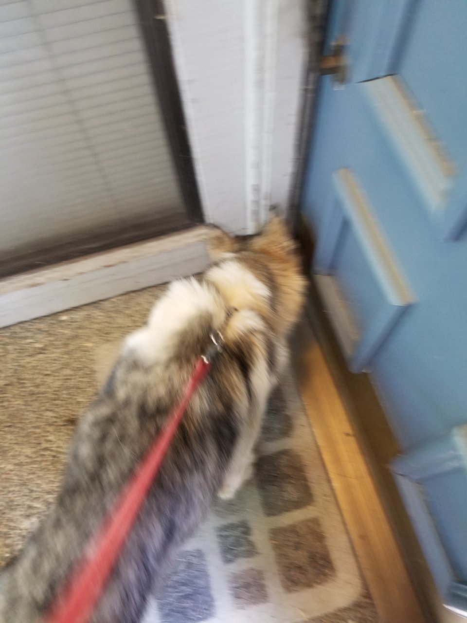 20180506_125847.jpg
