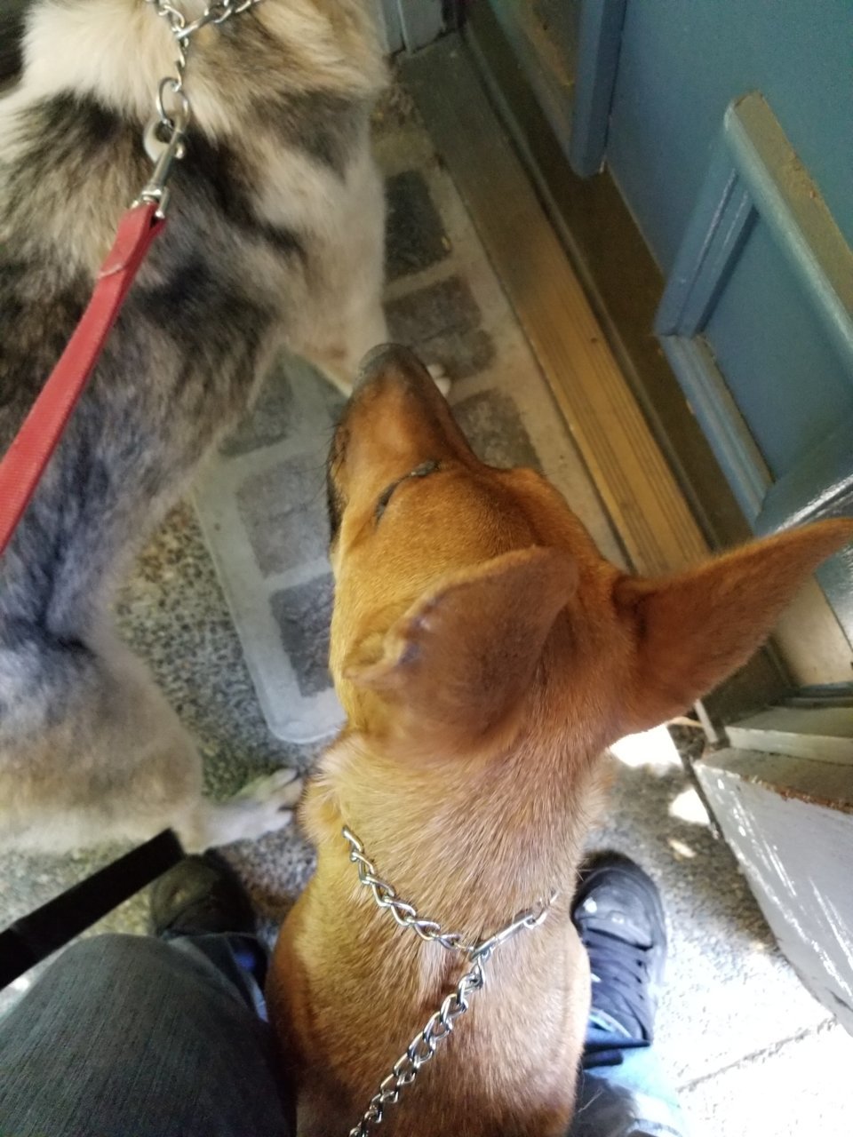 20180506_125849.jpg