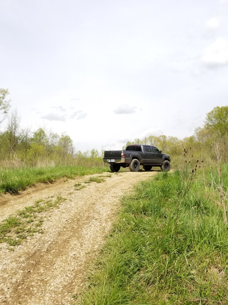20180506_155219.jpg