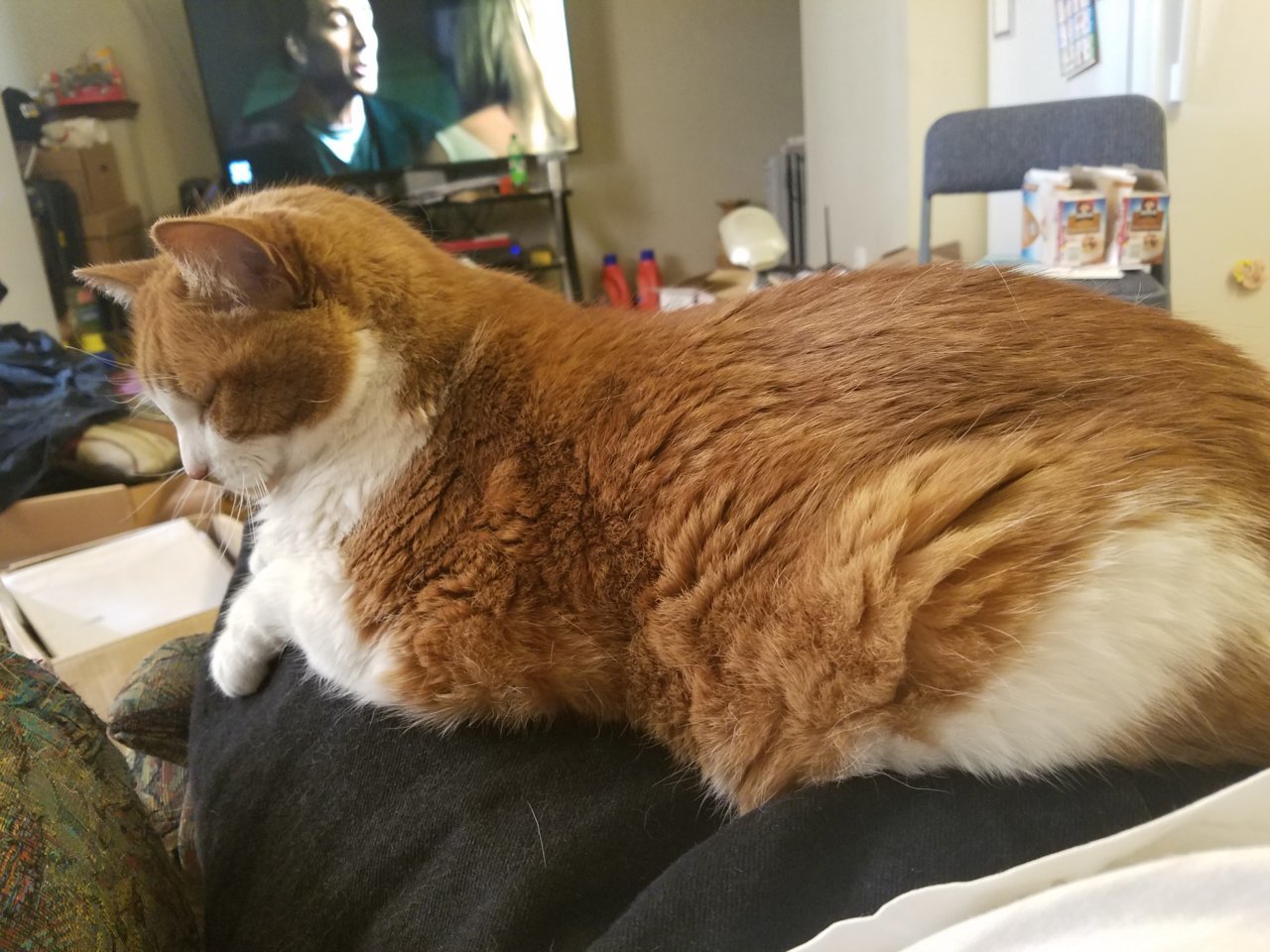 20180506_164406.jpg