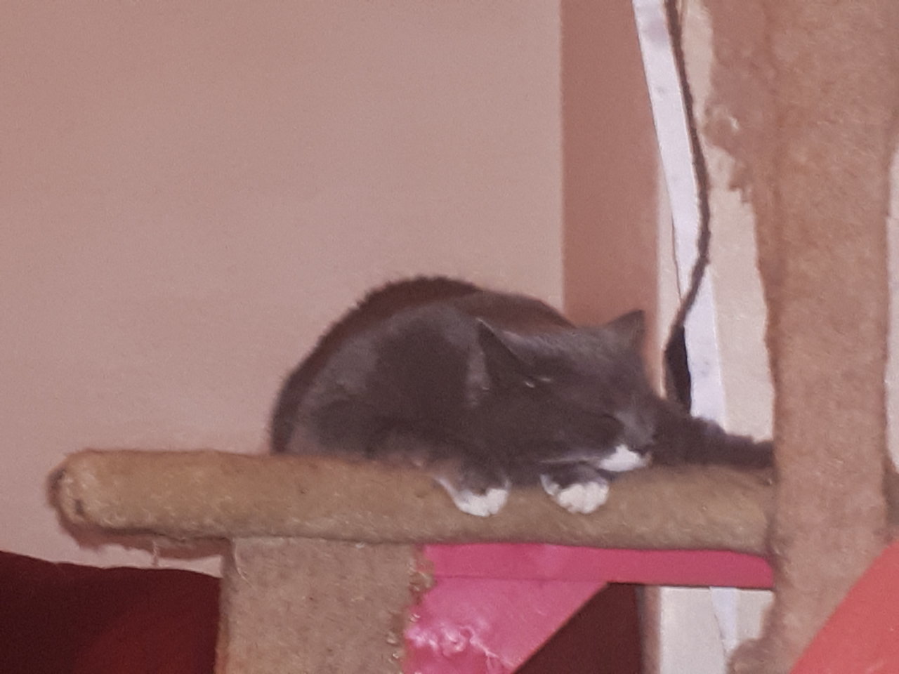 20180507_002619.jpg