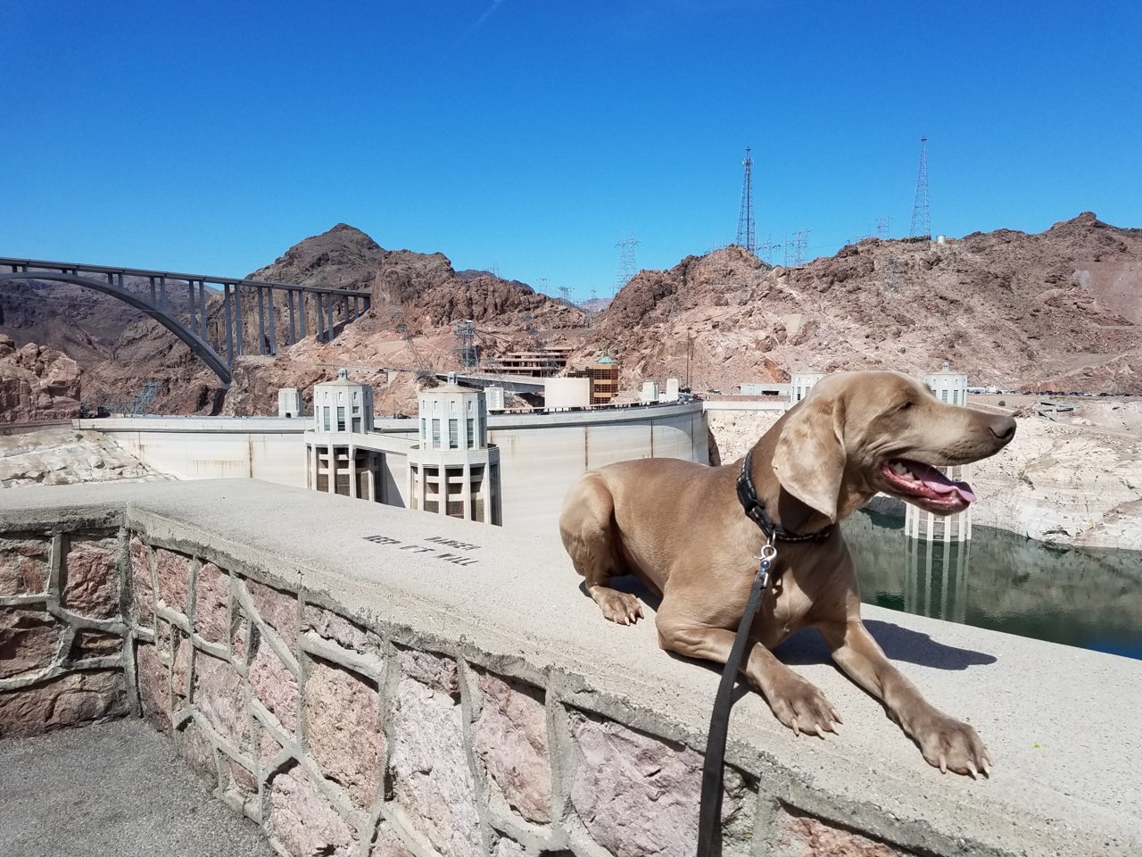 20180507_102238.jpg