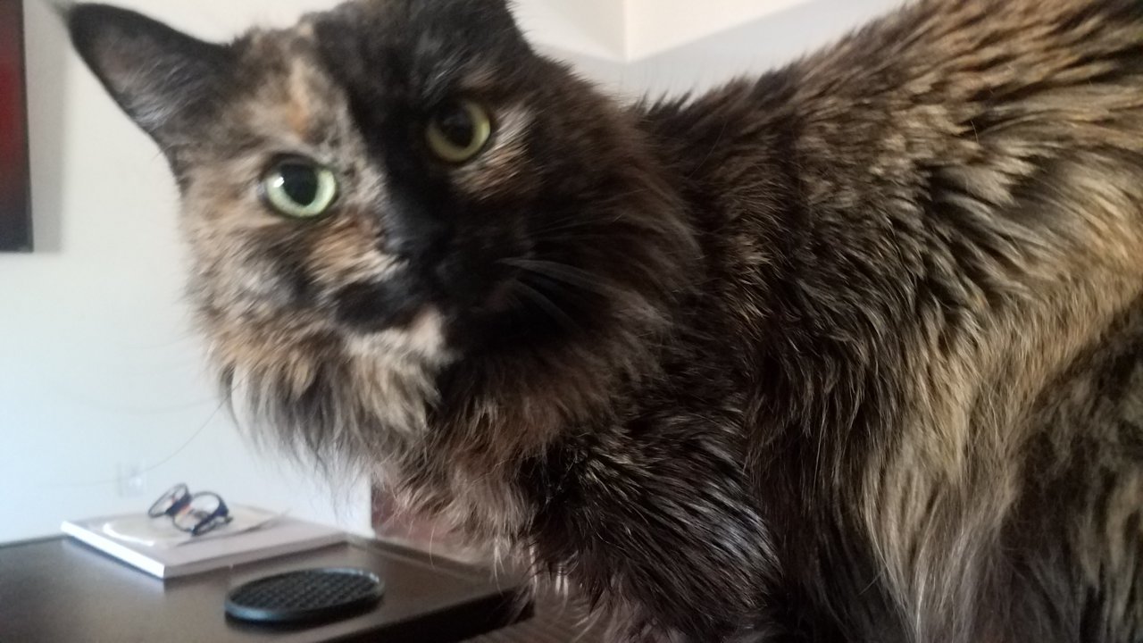 20180507_155140.jpg