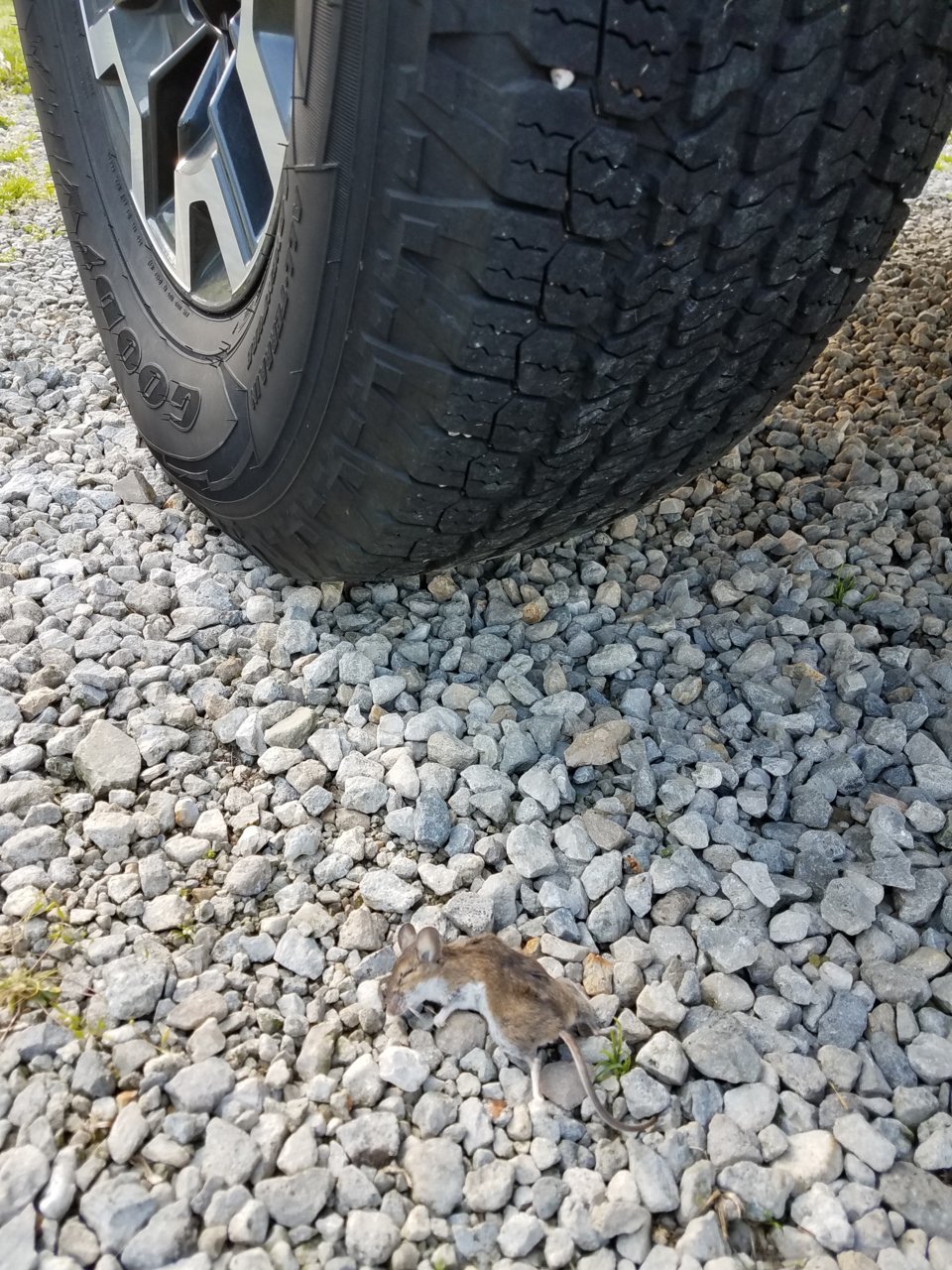 20180507_183327.jpg