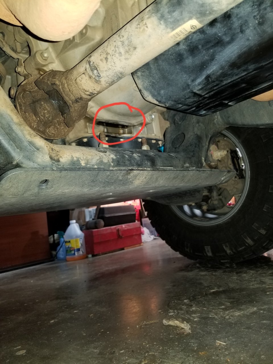 20180508_072755.jpg
